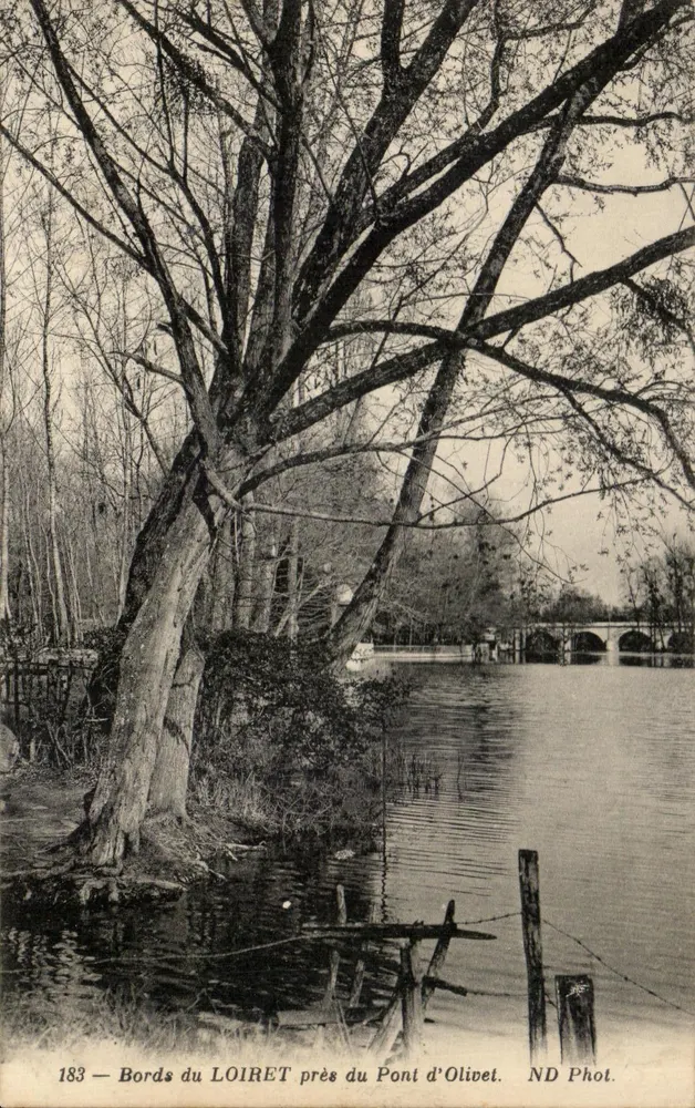 Margens do LOIRET perto do Ponte d'Olivet — ND Fot. n°183 - Frente