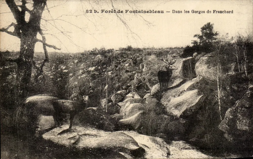 Wald von Fontainebleau — In den Gorges de Franchard — Sammlung G. Goujon - Vorderseite