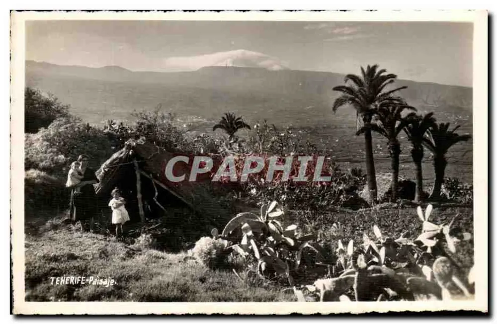Tenerife - Paysage — avec montagne en arrière-plan et palmiers — éditeur Tenerife Berna - Voorkant