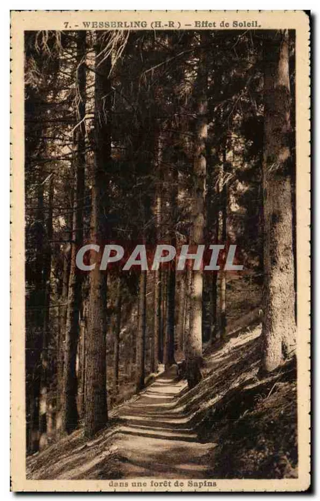 Wesserling (H.-R.) — Efeito de Sol em uma Floresta de Pinheiros — Edit. Photo Eug. Schill, Wesserling - Frente