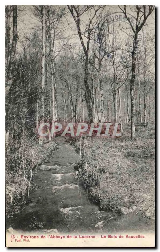 Environs de l'Abbaye de la Lucerne - Le Bois de Vaucelles — J. Puel Phot. - Recto