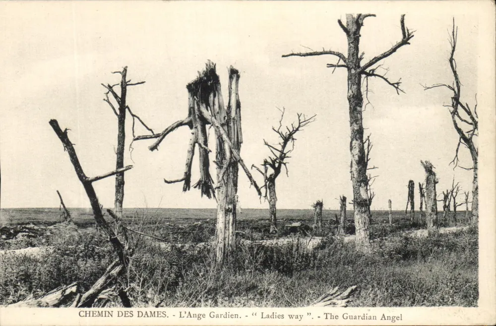 Chemin des Dames - Der Schutzengel - "Ladies way" - L'Ange Gardien - Vorderseite