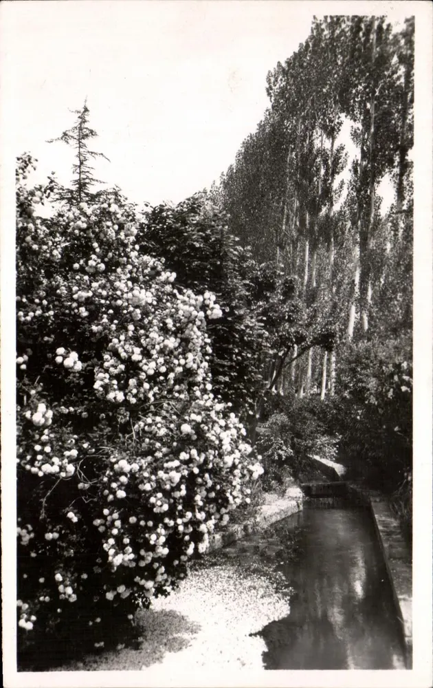 Ruelle-sur-Touvre — Ein Schöner Winkel — P. GASCON - Vorderseite