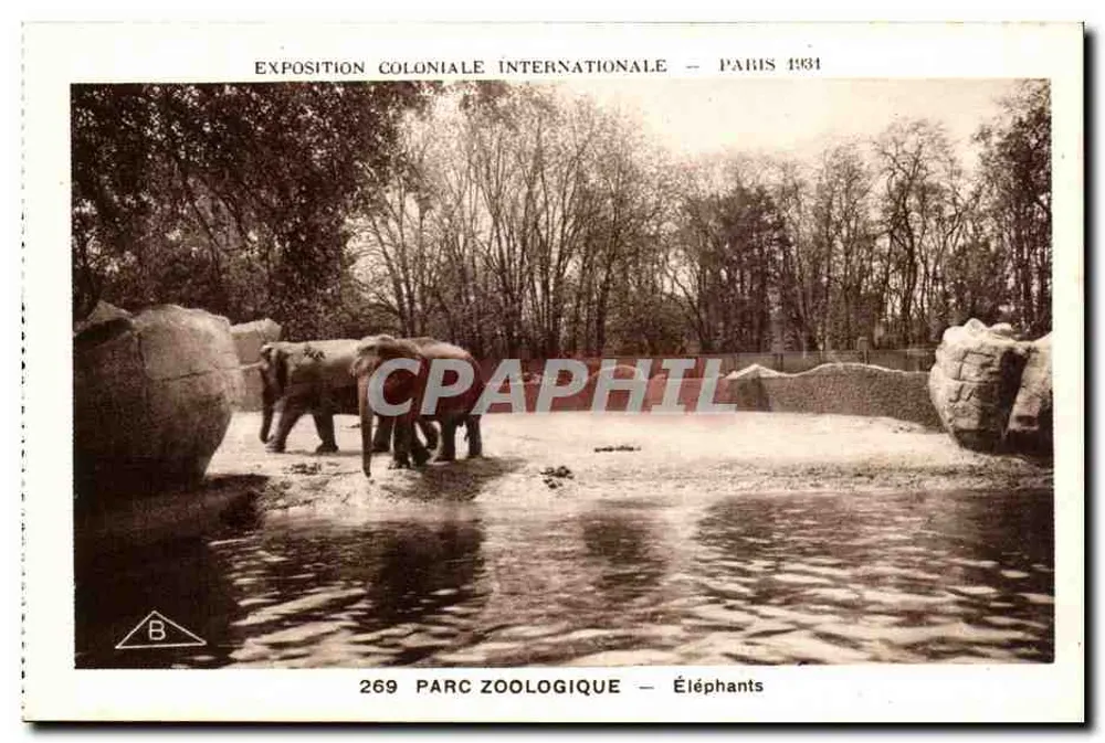 Zoo-Park — Elefanten — Internationale Kolonialausstellung — Paris 1931 - Vorderseite