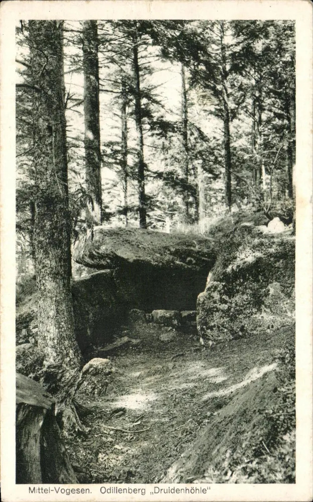 Mittel-Vogesen. Odillenberg «Druidenhöhle» — visão da caverna dos druidas na floresta - Frente