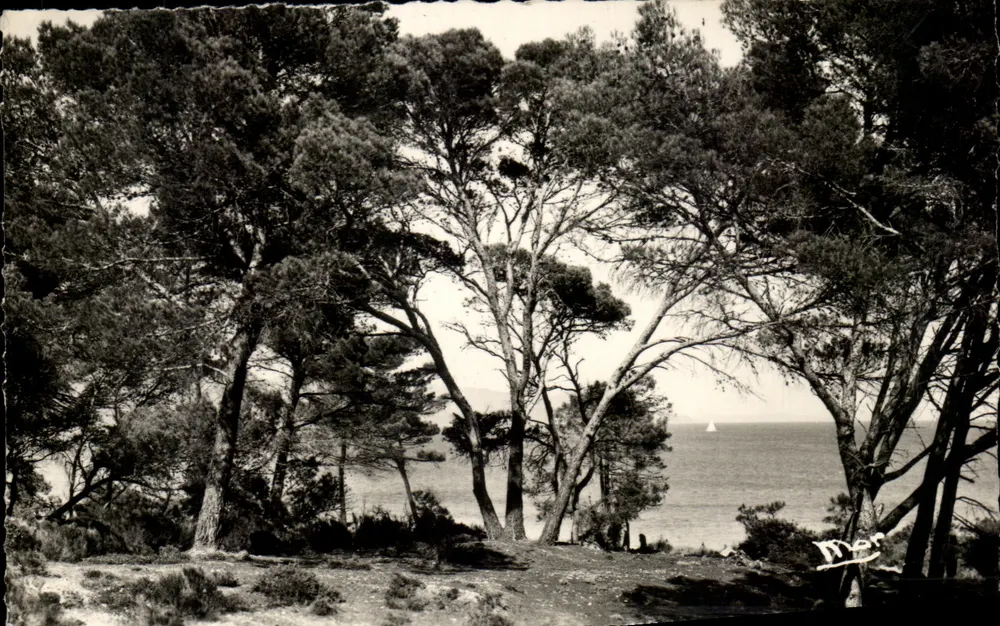 Praia da Favière — Le Lavandou (Var) — Éditions Marceau, Boulevard de Cimiez - Nice - Frente