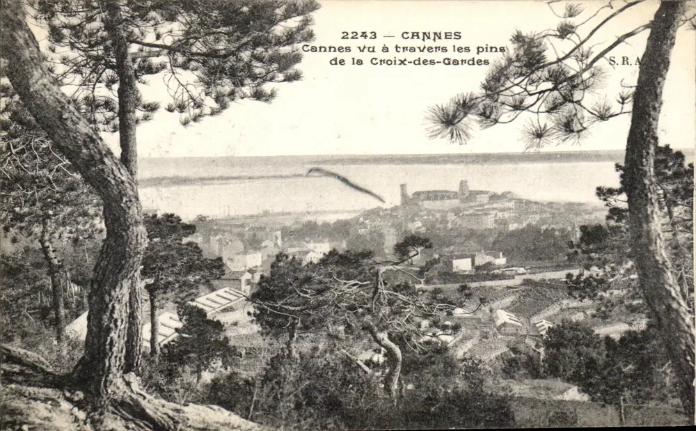 Cannes — Blick durch die Kiefern von Croix-des-Gardes — S.R.A. n°2243 - Vorderseite