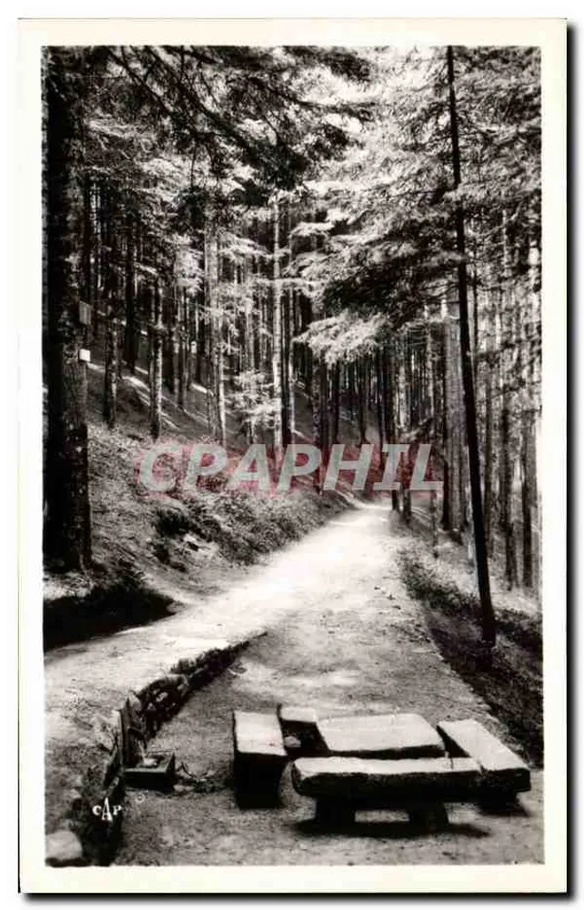 Wald von Fontaine-Fachot — Weg mit Steinbänken — Verlag: La Fontaine Fachot - Vorderseite