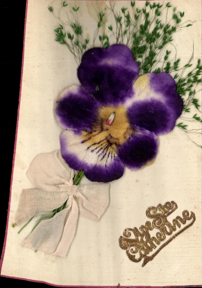 Fleur de pensée — decoração bordada — Tipo Santa Catarina - Frente
