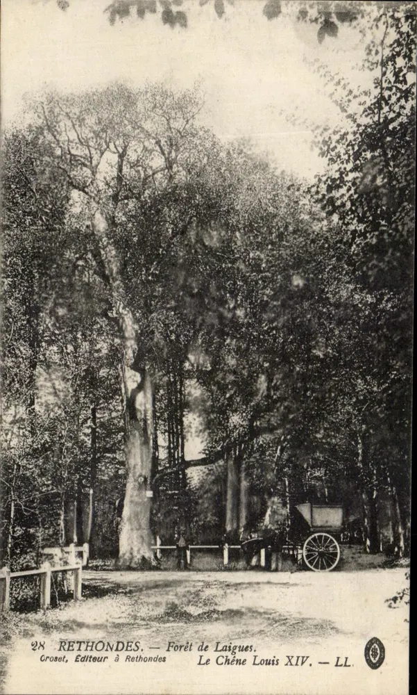 Rethondes — Forêt de Laigues. Der Eiche Louis XIV — Croset, Verleger in Rethondes - Vorderseite
