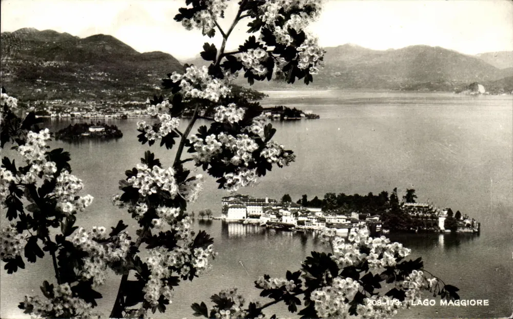 Lago Maggiore — vista panorâmica com flores em primeiro plano — Ediz. ris. Orlandini, Riv. N. 5, Stresa - Frente