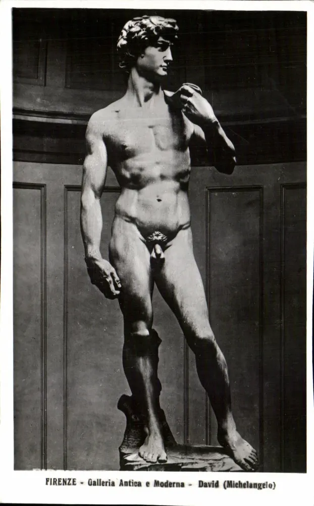 David (Michelangelo) — statua nella Galleria Antica e Moderna — Firenze - Recto