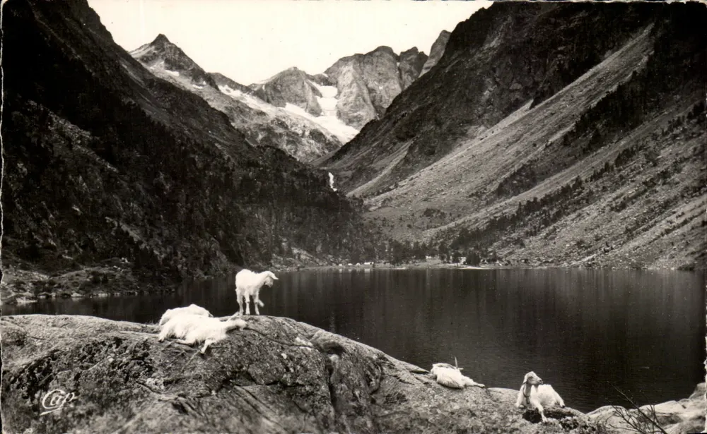 Cauterets - O Lago de Gaube — n°209 — Réal-Photo - Frente