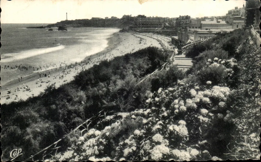 Biarritz — Les Hortensias et la Grande Plage — Cie des Arts Photomécaniques, Paris - Vorderseite
