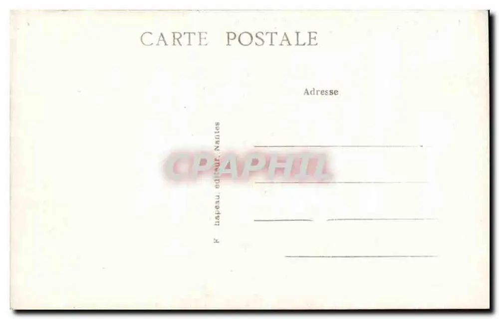 Clisson (Loire-Inf.) - Ruinen im Inneren des Schlosses - Eingang zur Kapelle - Baum der Vendéens - Rückseite