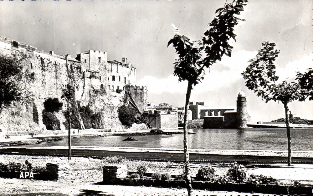 Collioure — Allgemeiner Blick auf den Festungsburg und die Kirche — APA - Vorderseite