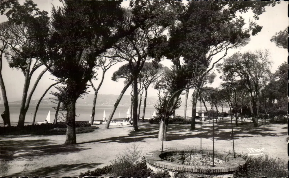Juan-les-Pins — Die Pinewoods — Les Éditions M. van 4, Bd. Le Clicq, Nice - Vorderseite