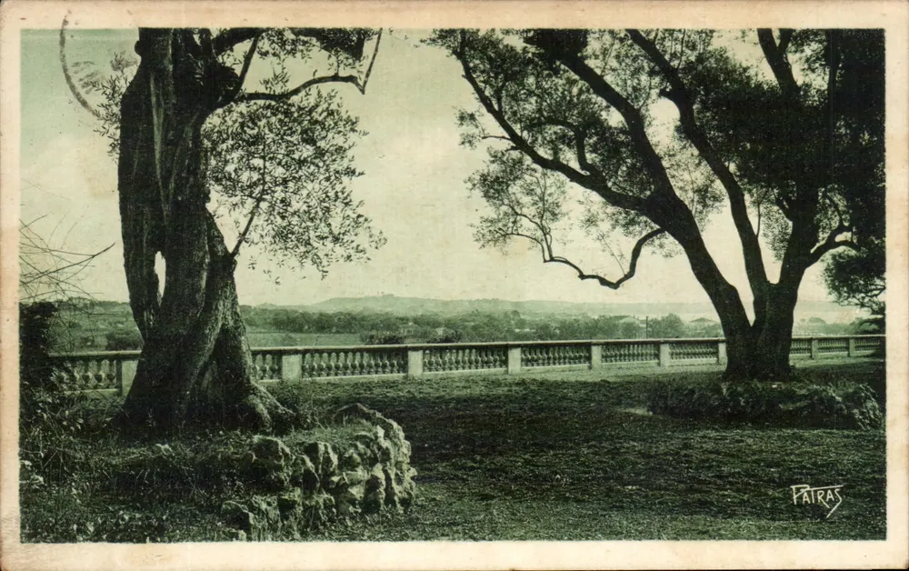Vista da Terrasse des Eucalyptus — JUAN-LES-PINS — editor FAIRAS - Frente