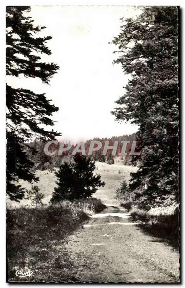 Landschaft am Col de la Rochette — Hauteville-Lompnes (Ain) — Fotografie von C. Miguet - Vorderseite