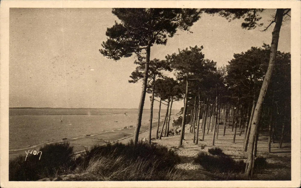 Arcachon-Mouilleau — Der Park der Abatilles — Verleger Yvon - Vorderseite