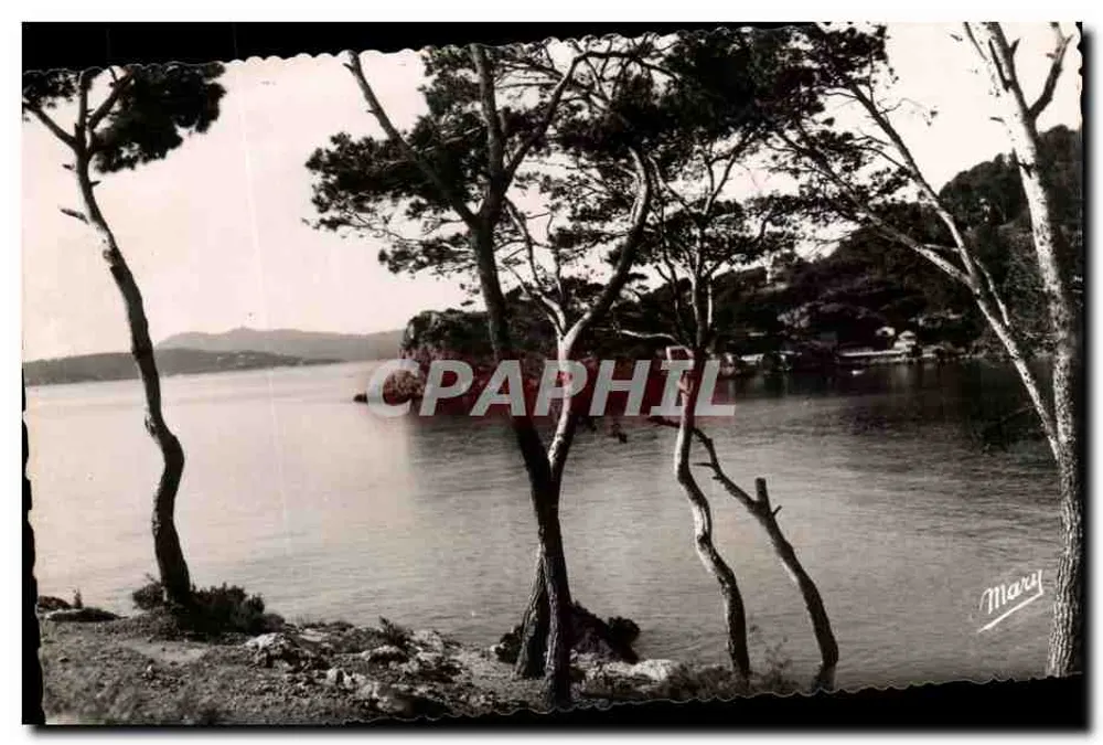 Ansicht der See in Toulon - Port-Mejean — Verlag Mary - Vorderseite