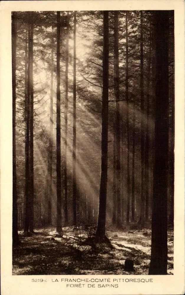 A Franche-Comté pitoresca — Floresta de pinheiros — n° 5219 — editor Coleção La Franche-Comté - Frente