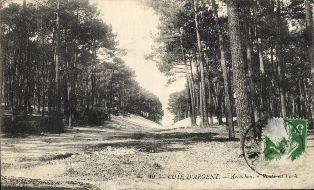 Côté d'Argent — Arcachon — Estrada na Floresta - Frente