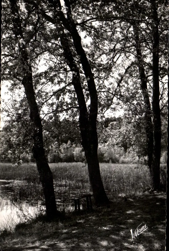 Teich im Wald — Les Merveilles du Val de Loire — Ausgabe Valoire - Vorderseite