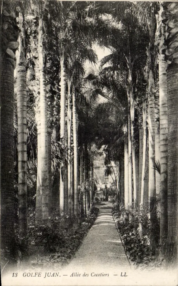 Golfe Juan — Avenida dos Cocotiers — LL. n°13 - Frente