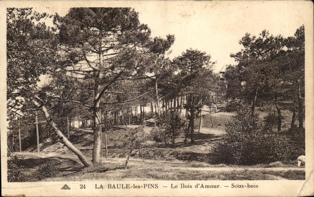 LA BAULE-LES-PINS — Der Kiefernwald — Unterholz - Vorderseite