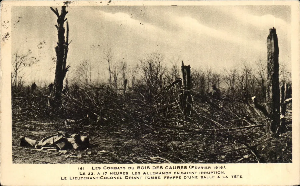 Die Schlachten im Bois des Caures — Februar 1916 — Édition Verdun et ses Champs de Bataille - Vorderseite