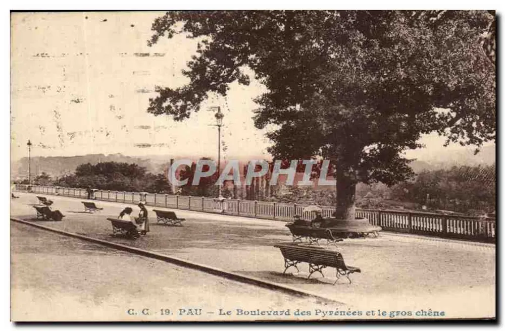 Pau — Boulevard des Pyrénées und der große Eiche — C. C. 19 - Vorderseite