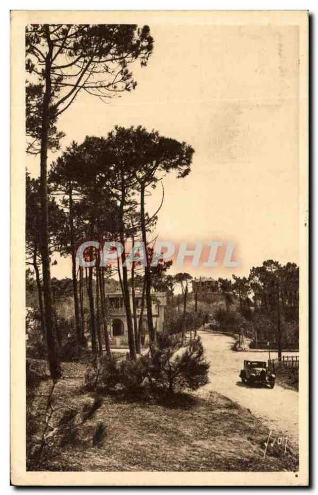 La Baule-les-Pins — Vue de la forêt — Les Éditions d'Art, Paris - Recto