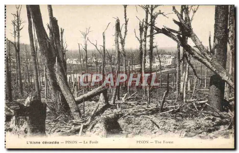 A Aisne destruída — PINON — A Floresta - Frente
