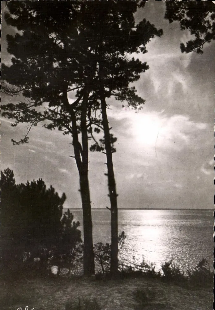Sonnenuntergang über den Bassin d'Arcachon — L. CHATAGNEAU, 640 - Vorderseite