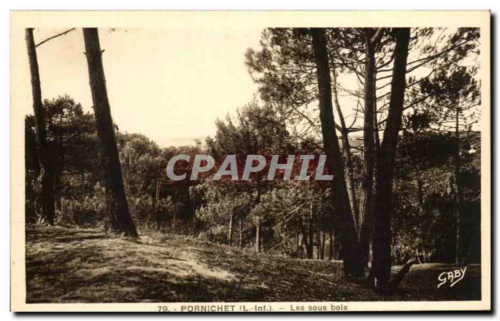 Pornichet (L.-Inf.) — Os sub-bosques — Saby - Frente