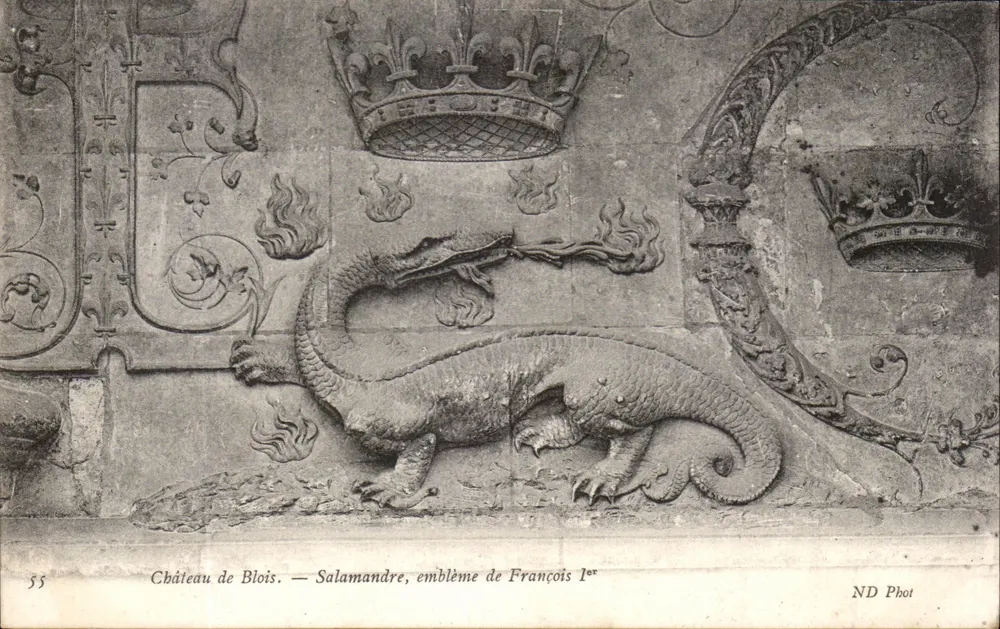 Schloss Blois — Schlangenfrösche, Wappen von Franz I. — ND Phot - Vorderseite