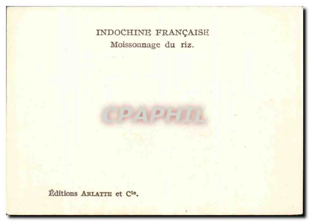 Moissonnage du riz — scène de champs — (Cliché Boyer.) - Verso