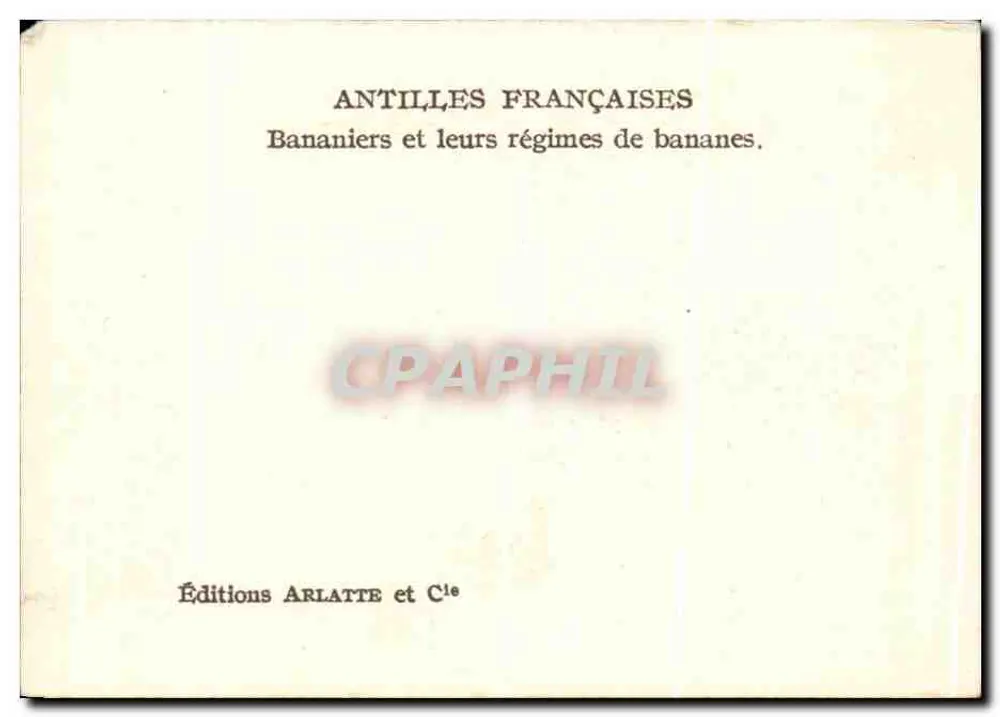 Bananenplantagen — Französische Antillen — Gesellschaft für Geographie - Rückseite