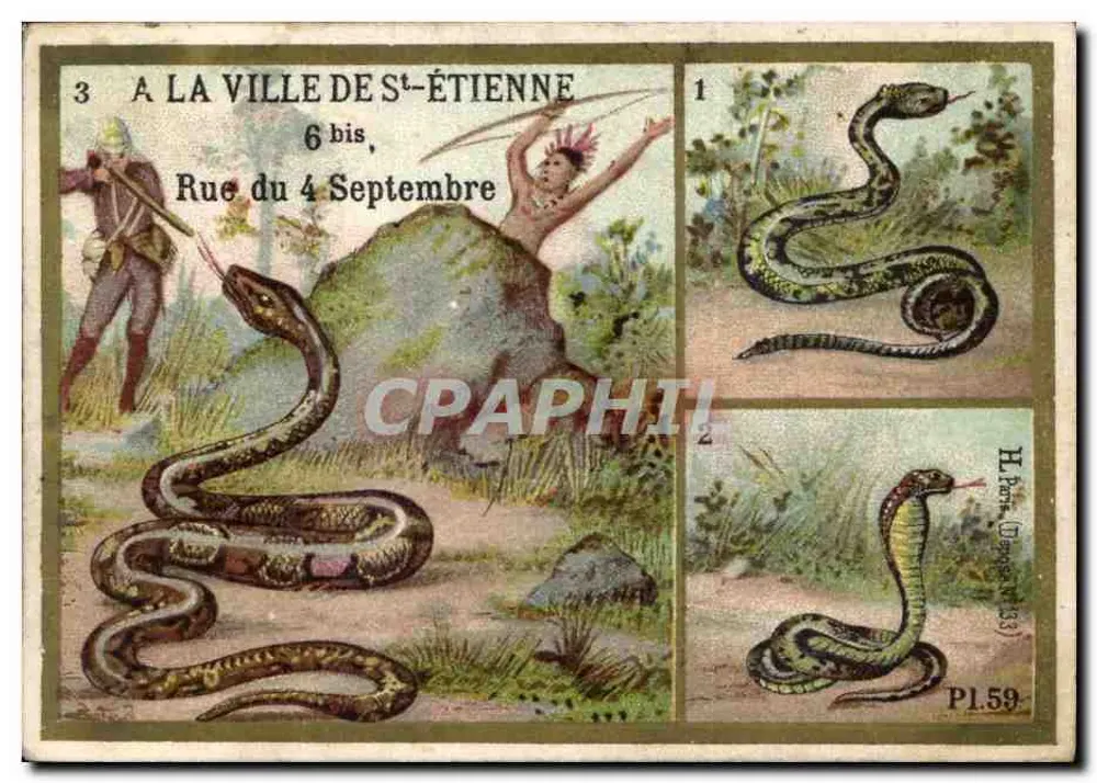 Die Reptilien — giftige und nicht giftige Schlangen — H. Pann, Dargen (1833) — PL.59 - Vorderseite