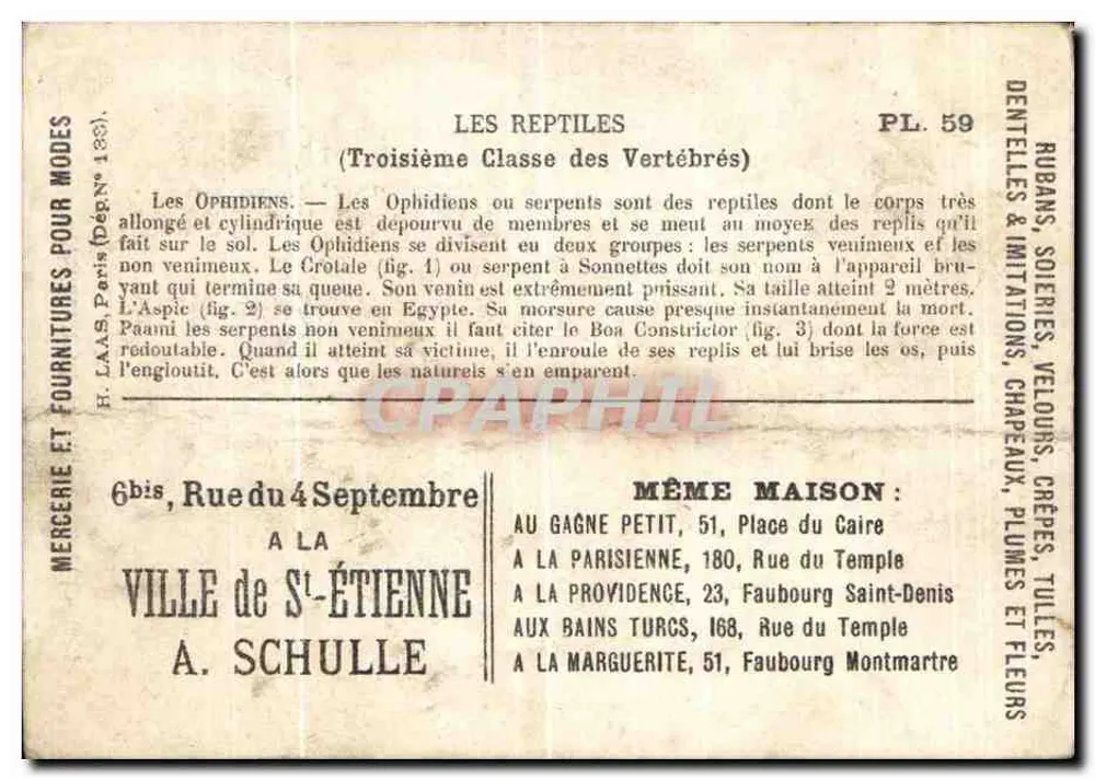 Die Reptilien — giftige und nicht giftige Schlangen — H. Pann, Dargen (1833) — PL.59 - Rückseite