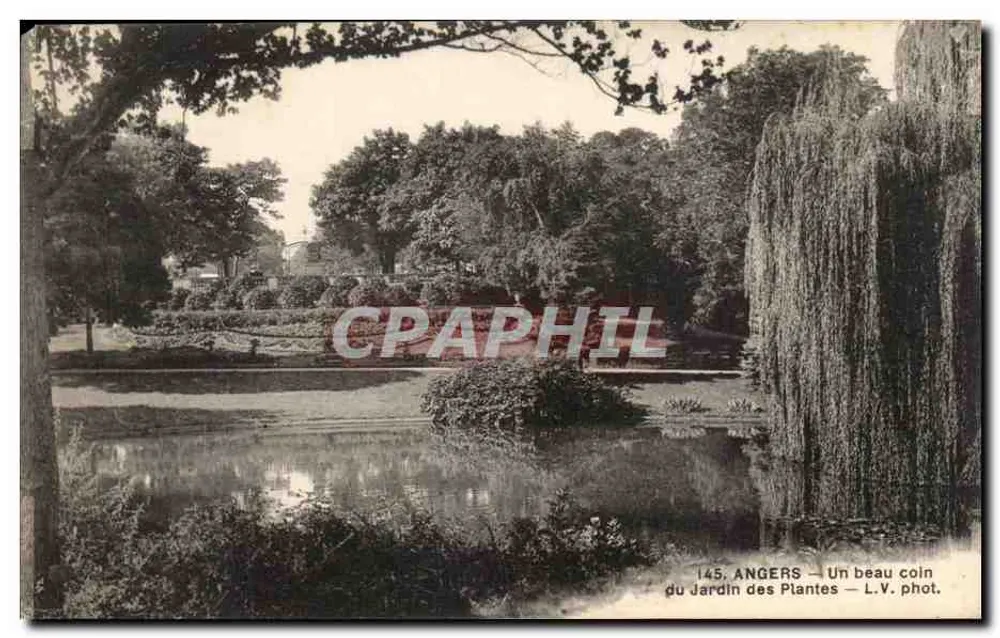 Angers — Ein schöner Teil des Jardin des Plantes — L.V. phot. - Vorderseite