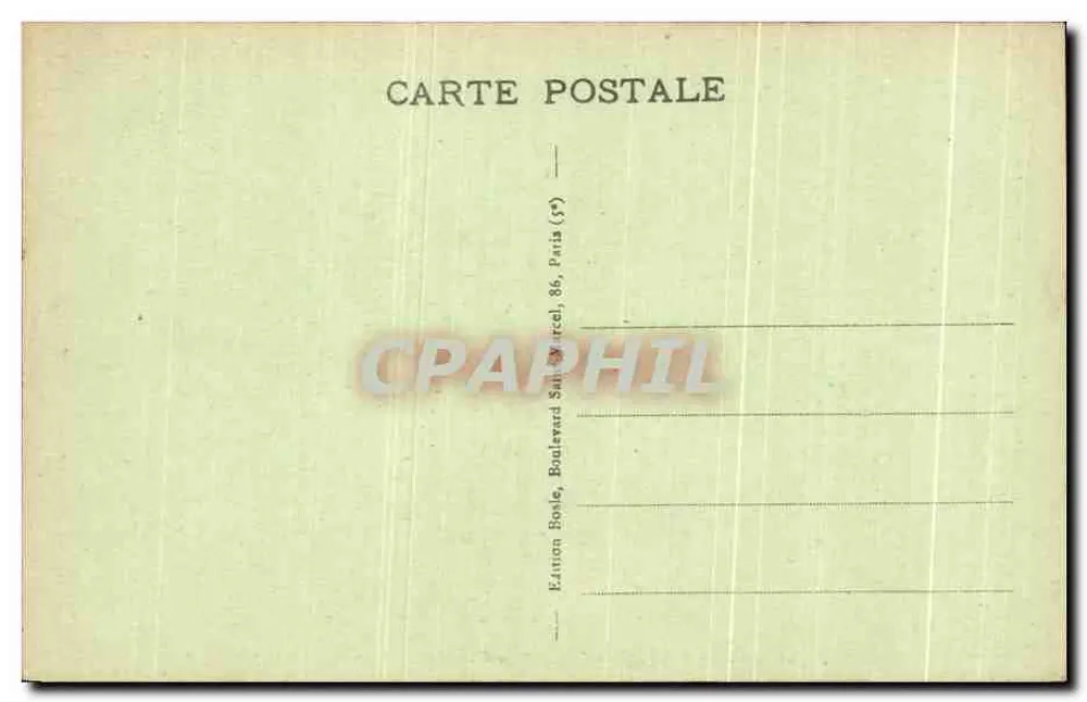 Paris - Museum für Naturgeschichte - Der Dromedar - Rückseite
