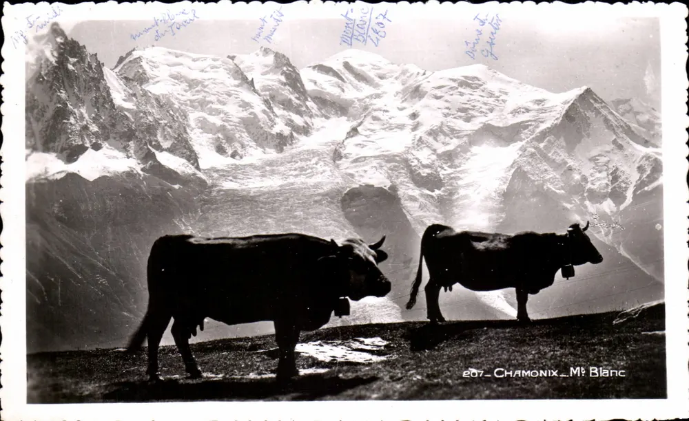 Chamonix — Mont Blanc — 2607 — Société Graphique Neuchâtel - Frente