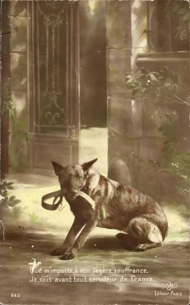 Cão com coleira — texto poético — Editor Paris n°643 - Frente