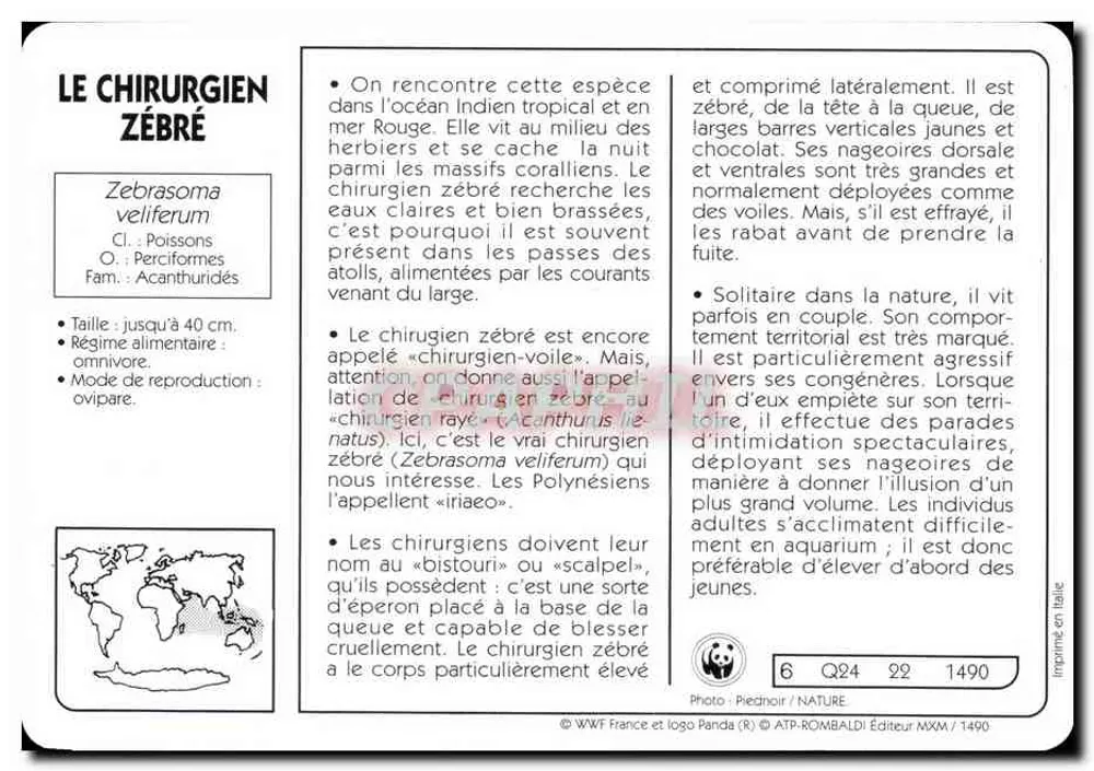 El cirujano rayado — WWF Francia y logo Panda (R) — editor ATP-ROMBALDI, n° 6 Q24 22 1490 - Reverso