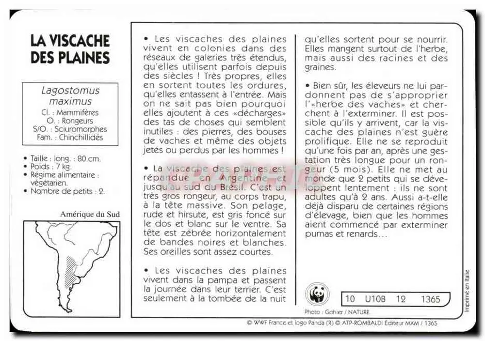 Die Plains-Viskacha — Verlag ATP-ROMBALDI, Nr. 1365 - Rückseite