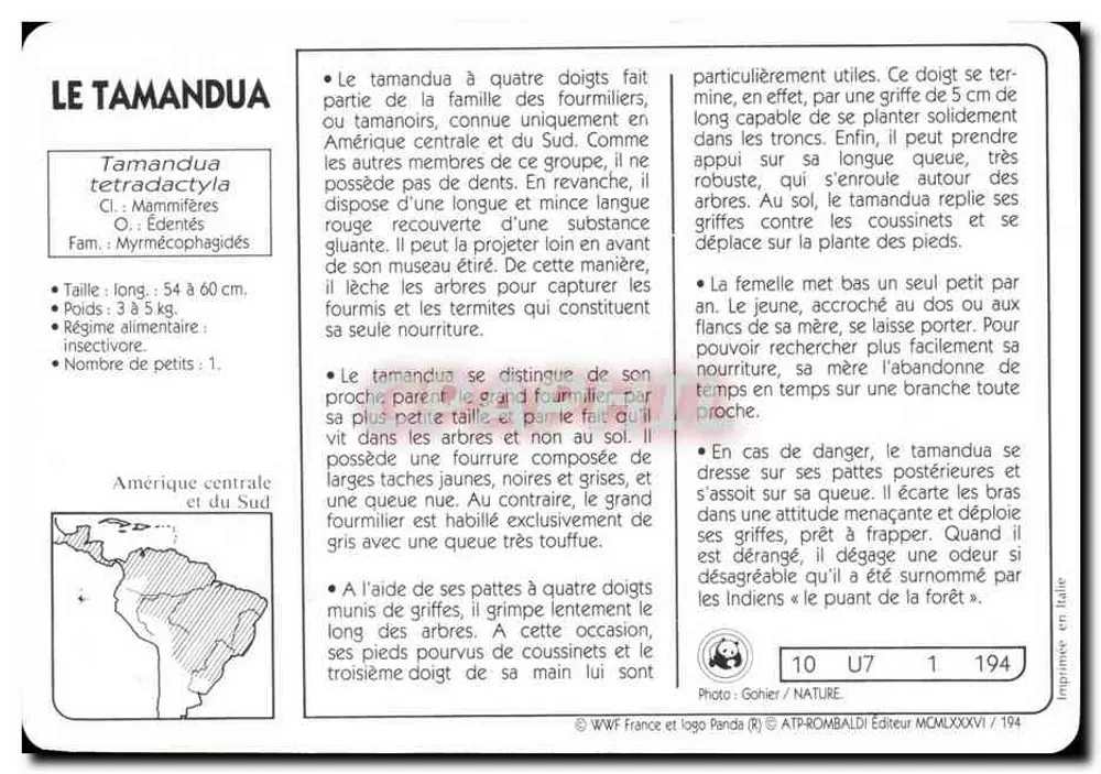 टमांडूआ — WWF फ्रांस / ATP-ROMBALDI एडिटर — संख्या 10 U7 194 - पीछे