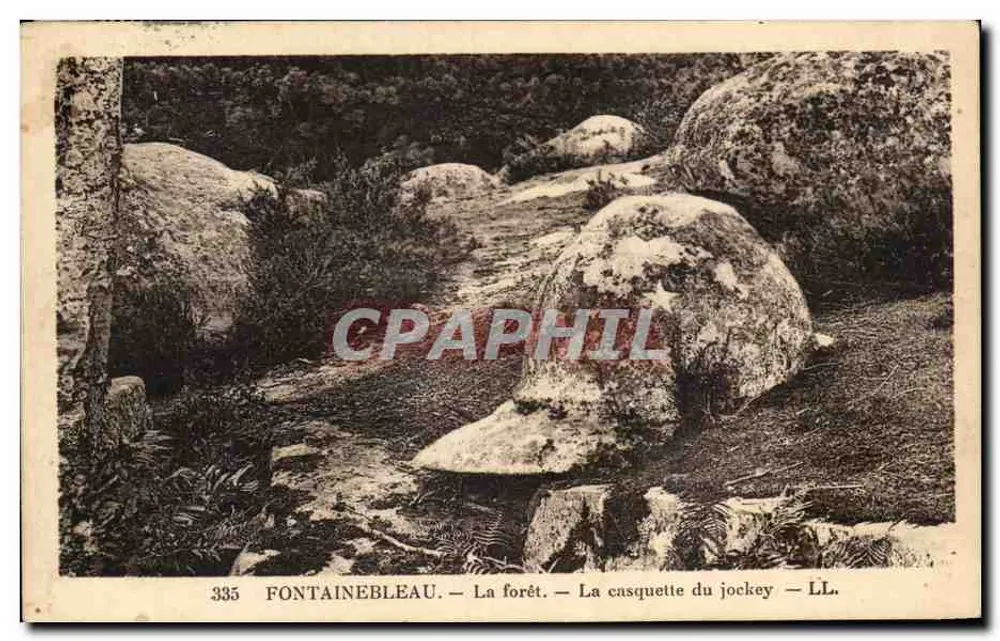 Fontainebleau — Der Wald — Der Hut des Pferdeführers — LL. — Nr. 335 - Vorderseite