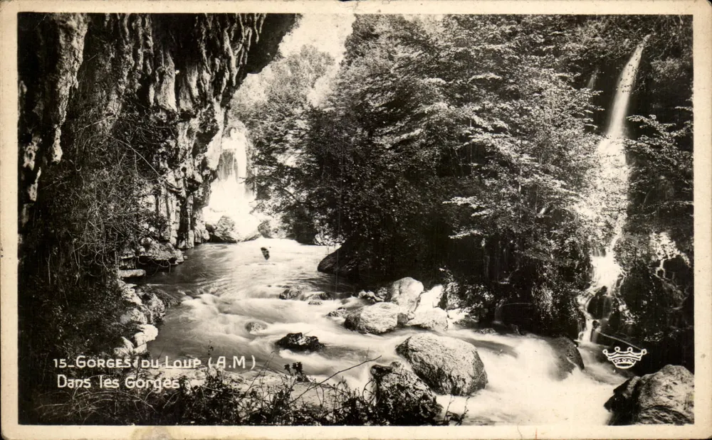 Gorges do Loup (A.M.) — Vista das quedas d'água e do curso d'água — Éditions Dart Munier, n°15 - Frente